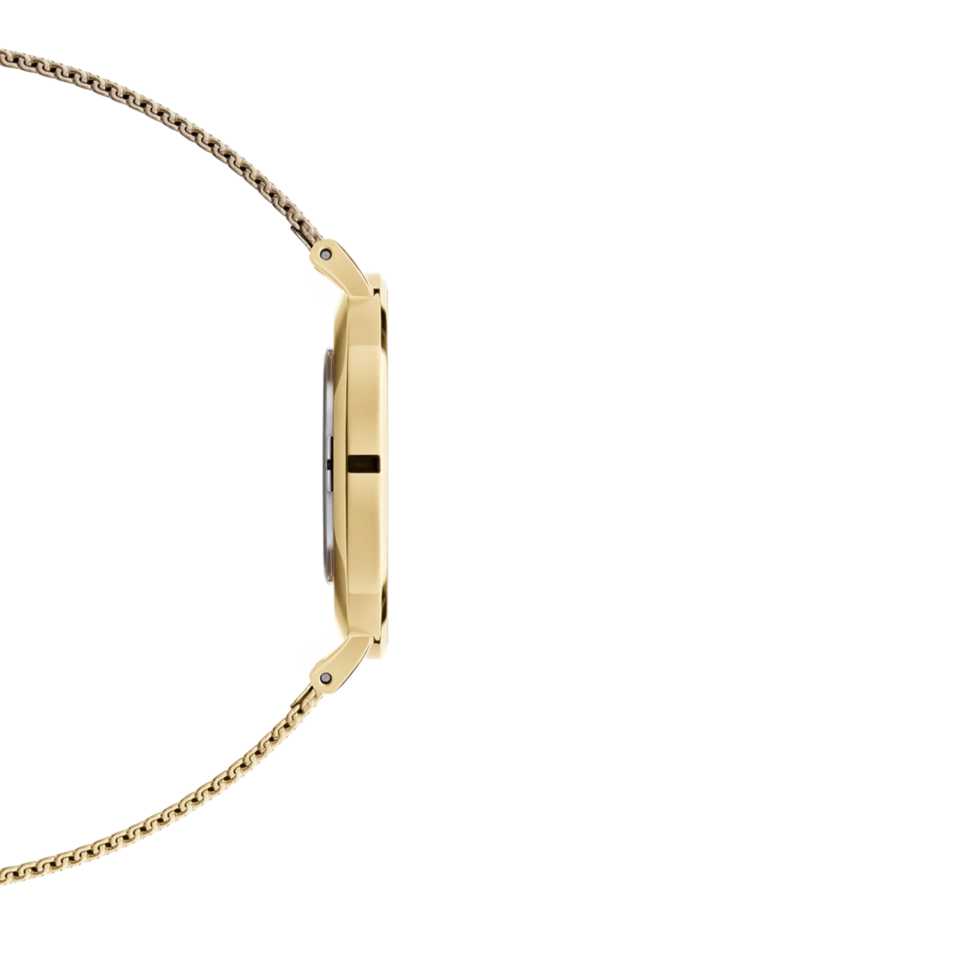 Orologio Donna Daniel Wellington Classic Petite Evergold 32 mm – DW00100348 - Arena Gioielli 