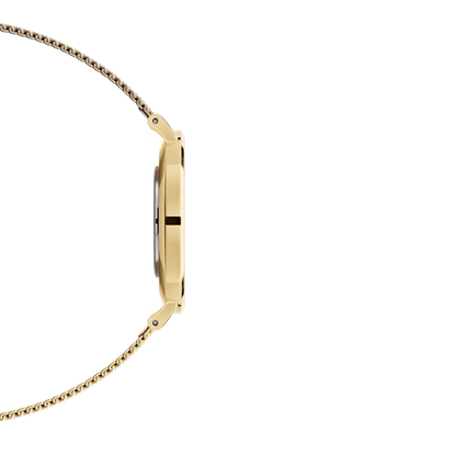Orologio Donna Daniel Wellington Classic Petite Evergold 32mm DW00100348 - Arena Gioielli
