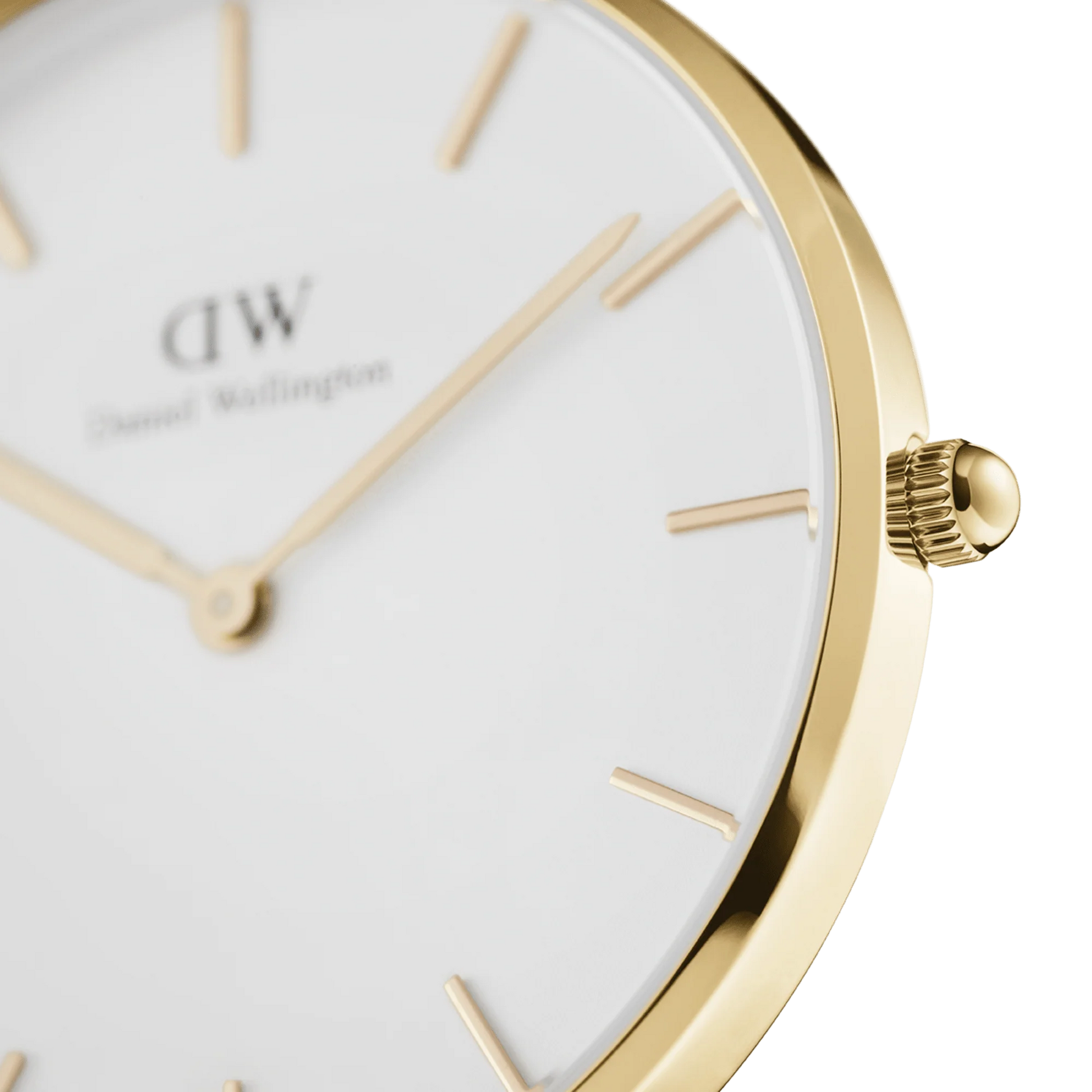 Orologio Donna Daniel Wellington Classic Petite Evergold 32 mm – DW00100348 - Arena Gioielli 
