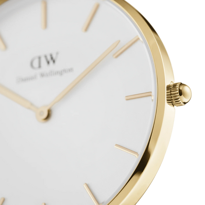 Orologio Donna Daniel Wellington Classic Petite Evergold 32mm DW00100348 - Arena Gioielli