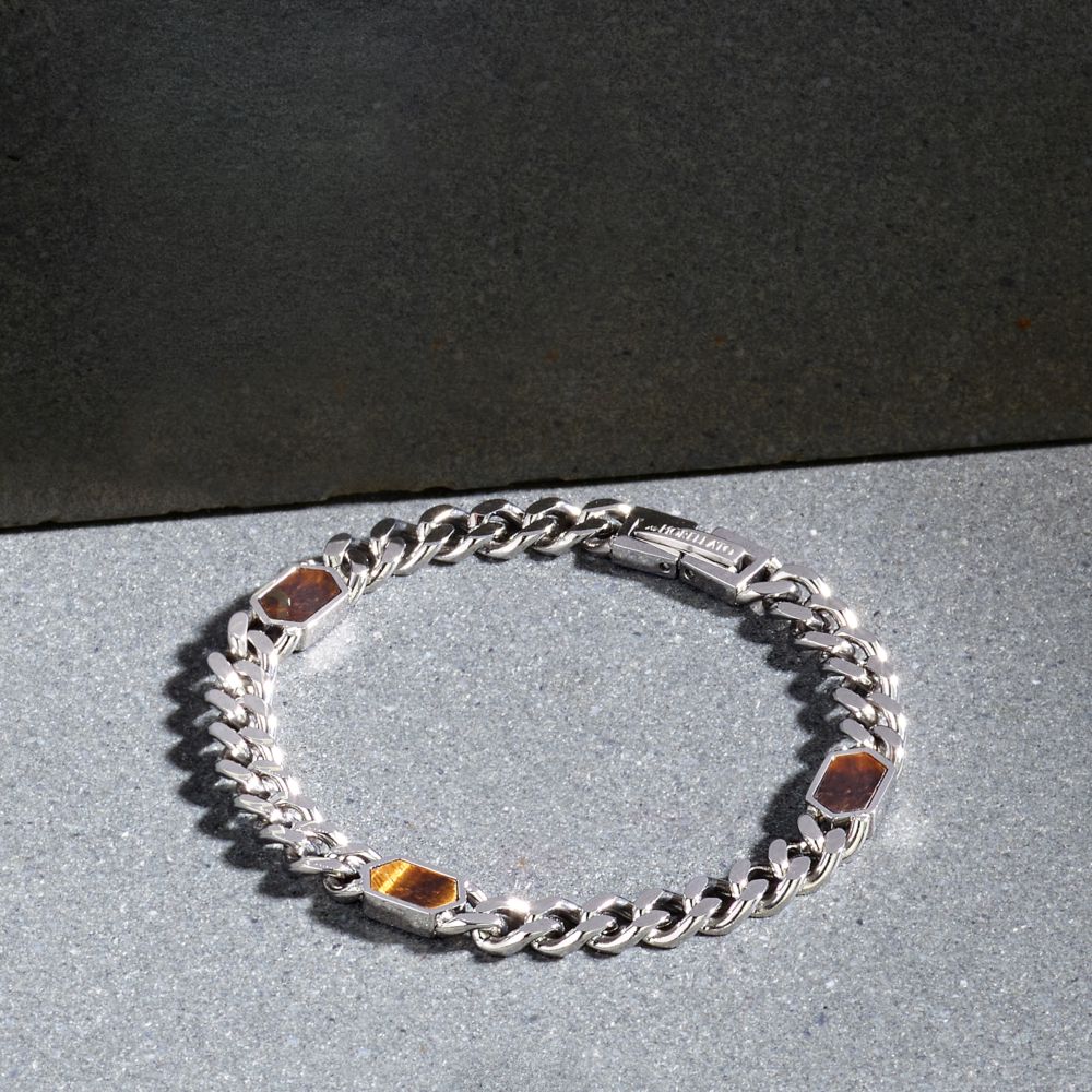 Bracciale Uomo Morellato Terra SBKA04 in Acciaio con Maglia Chain e Pietra Occhio di Tigre Marrone - Arena Gioielli