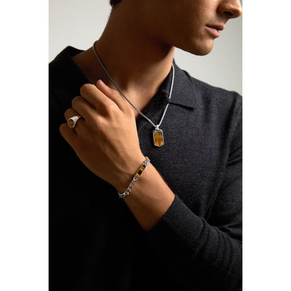 Bracciale Uomo Morellato Terra SBKA05 in Acciaio Silver con Maglia Chain e Inserto in Pietra Occhio di Tigre Marrone 18,5+3 cm - Arena Gioielli
